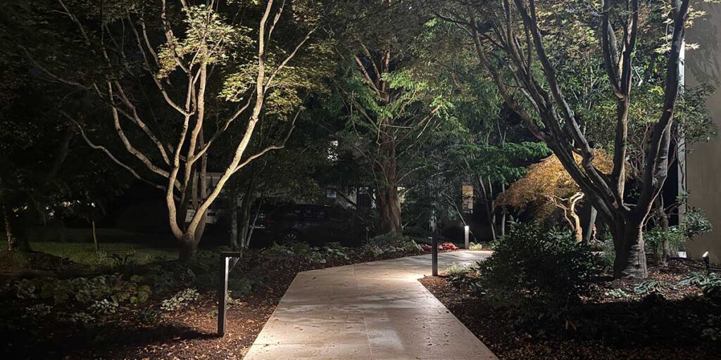 Landscape lighting design by Marker Elevated Landscapes serving Malvern, PA