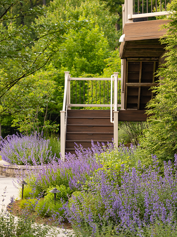 Thoughtfully designed planting concepts for homeowners in Malvern, PA