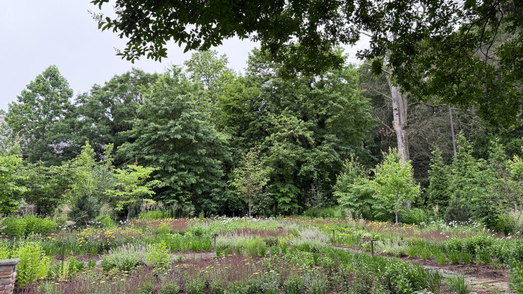 Outdoor living space with layered plantings, integrated hardscape, and seating by Marker Elevated Landscapes
