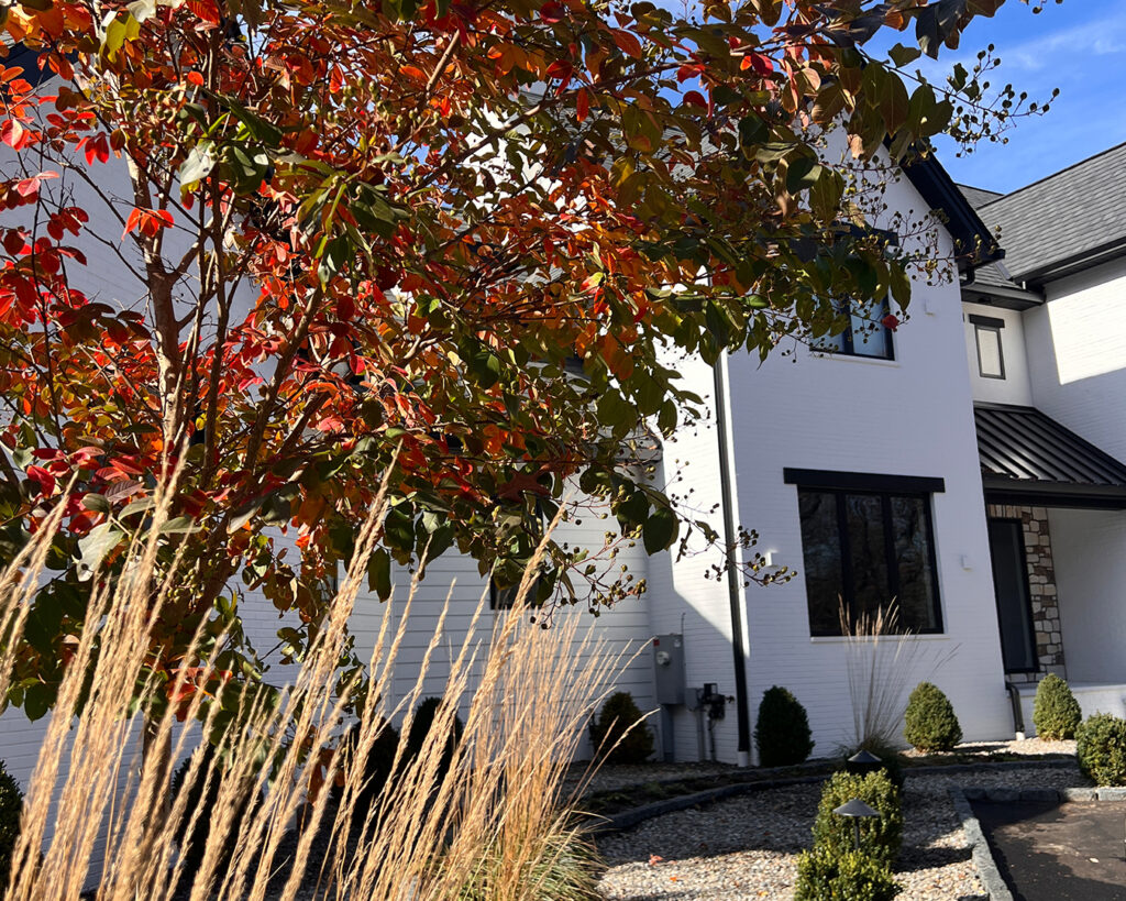 Close-up of ornamental grass with fall-colored tree at a modern farmhouse landscape in Christiana, Pennsylvania
