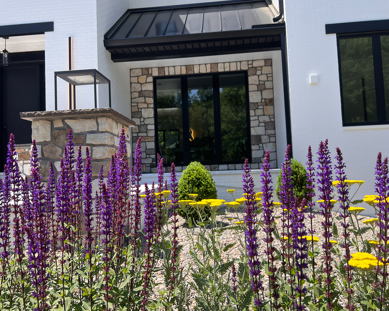 Close-up of vibrant perennial plantings in bloom at the front of a modern farmhouse landscape in Christiana, Pennsylvania