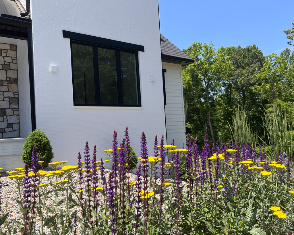 Side-angle view of vibrant perennial plantings in bloom along the front of a modern farmhouse landscape in Christiana, Pennsylvania